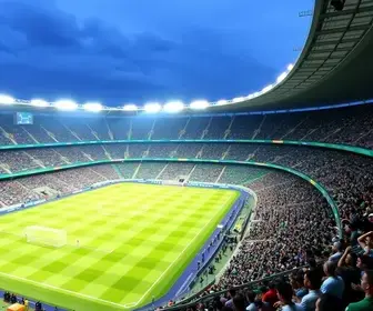 capacidade reduzida no estádio